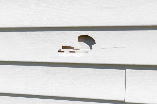Best Composite Siding  in Jackson, CA